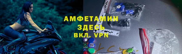 крисы Абаза