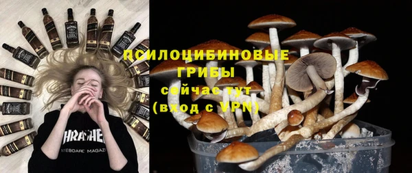 МДПВ Алексеевка