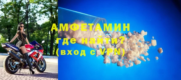 стаф Алзамай