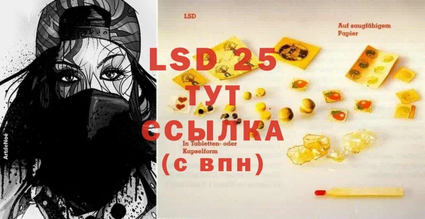 стаф Алзамай