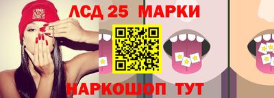 гидра Будённовск