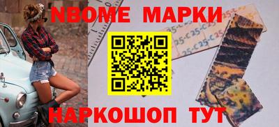 гидра Будённовск