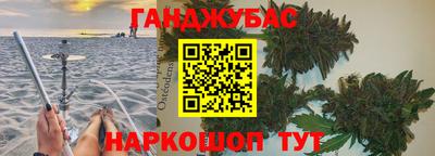 гидра Будённовск