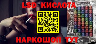 гидра Будённовск