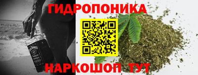 гидра Будённовск