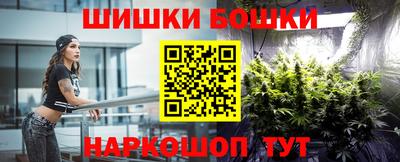 гидра Будённовск