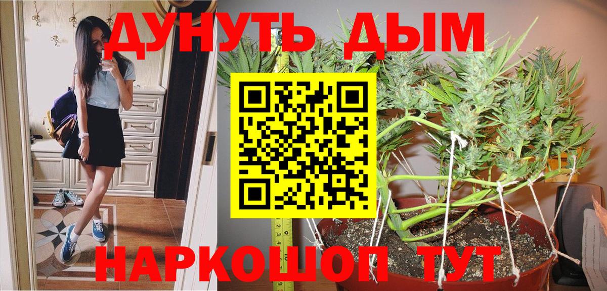 Бошки Шишки планчик Нижний Тагил
